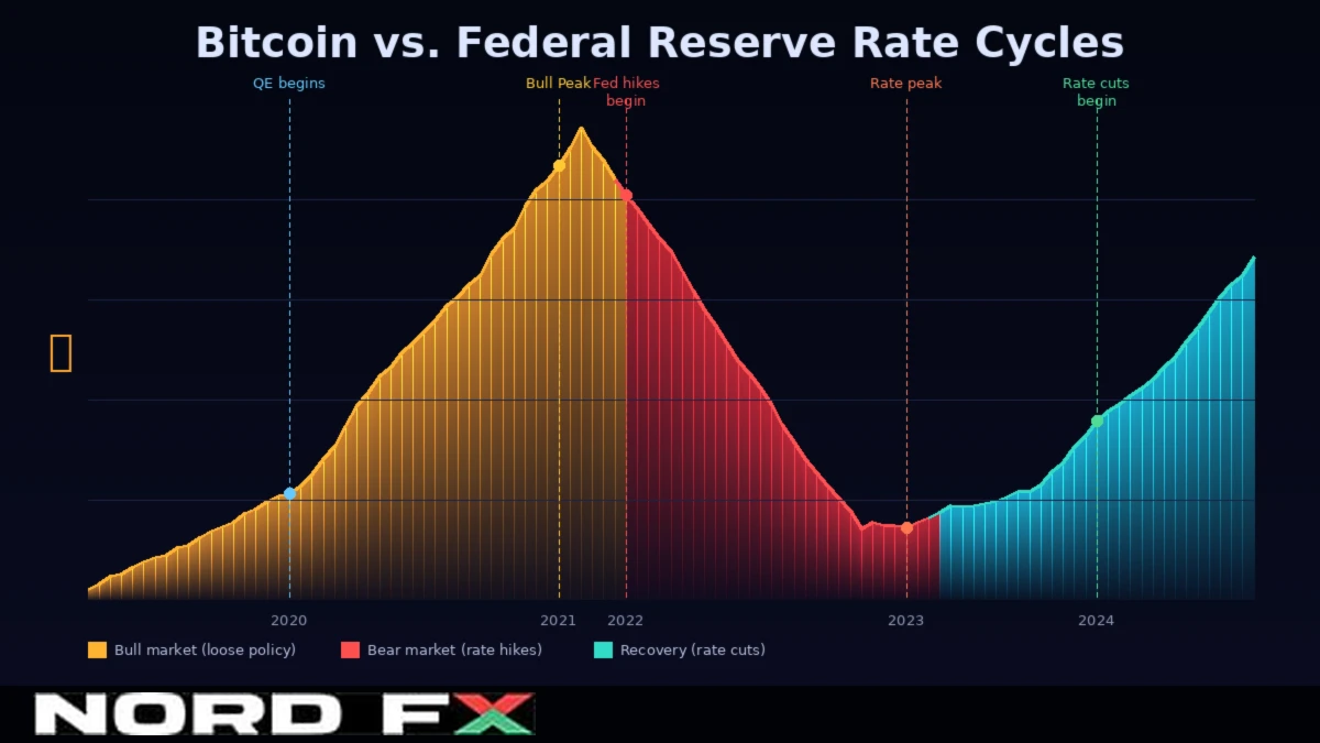 image3_btc_fed_cycles